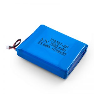 Персонализирана 3.7V 2450 2600 3900 4000 4500 4700 5000 6000 9000Mah полимерна Lipo батерия